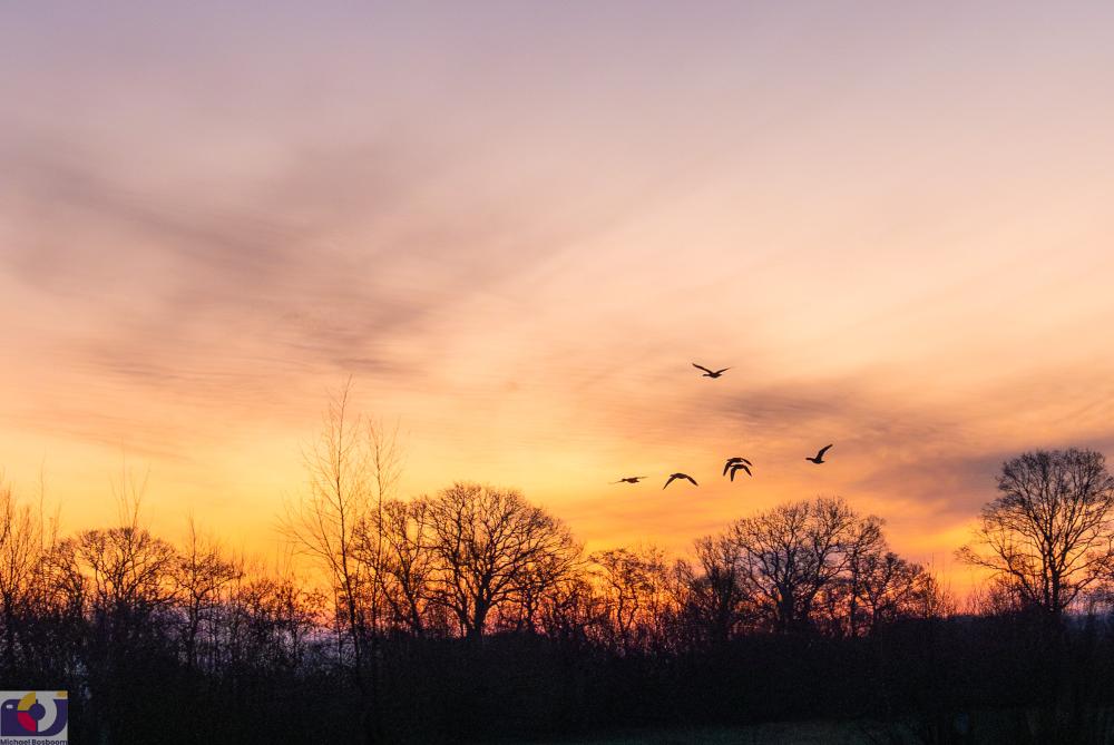 Stegeren